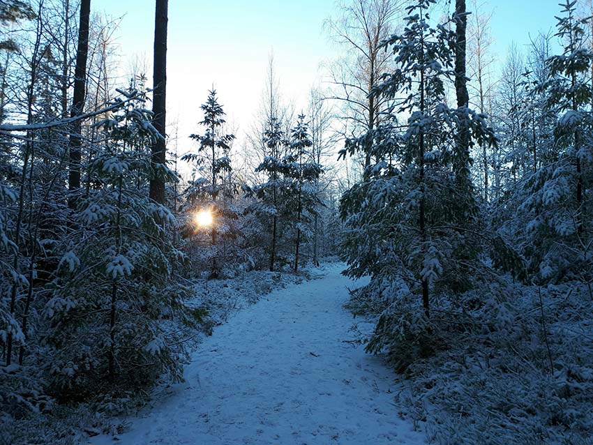 Between What Was and What Is Becoming