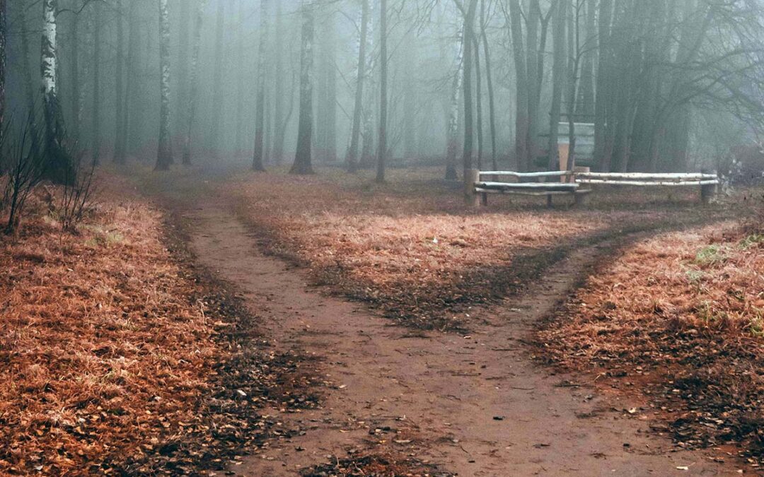 The Difference Between Information and Clarity