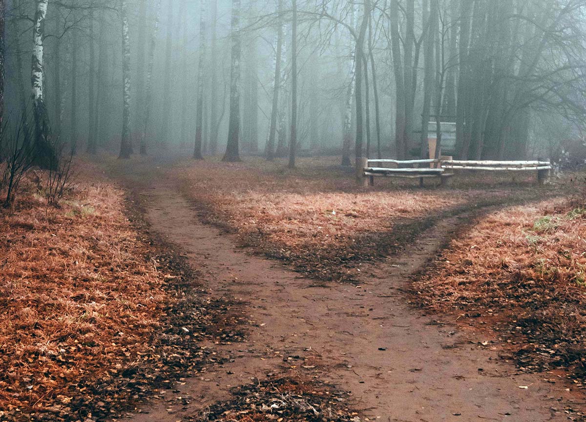 The Difference Between Information and Clarity